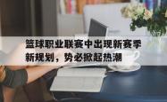 金年会app登录-篮球职业联赛中出现新赛季新规划，势必掀起热潮