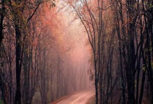 jinnianhui官方-TheShy意外战胜RNG，最后时刻胜出引爆全场！